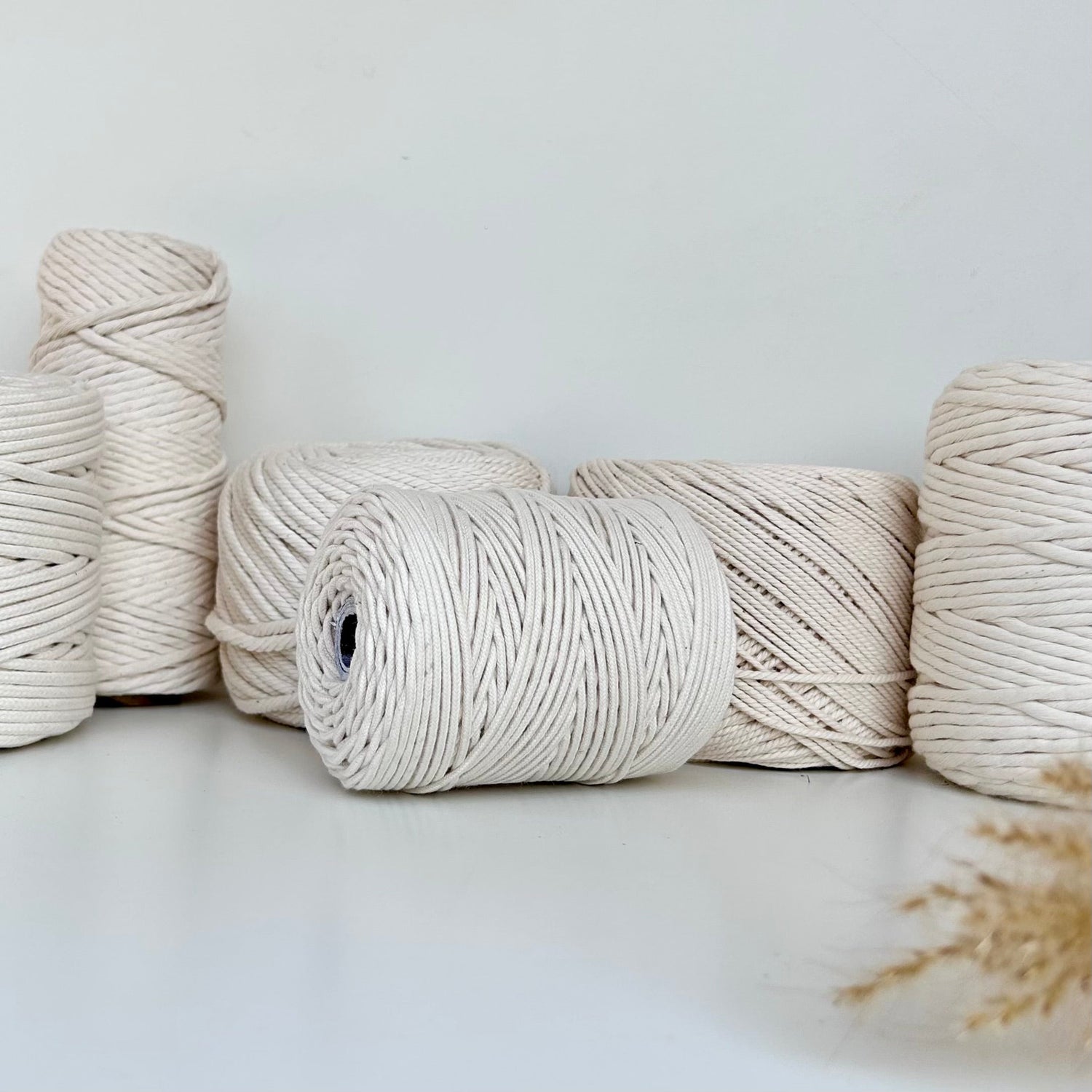 Neutral Tone Cords