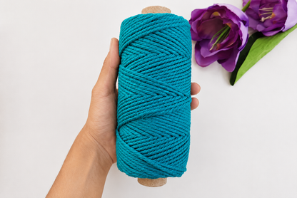 2 mm 3 Ply Twisted Ocean Teal