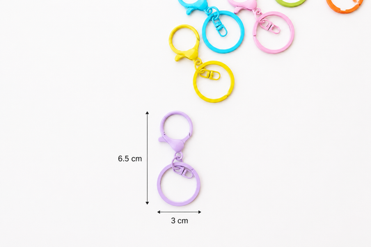 Colorful Keyring With Hook