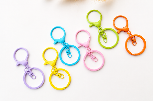 Colorful Keyring With Hook