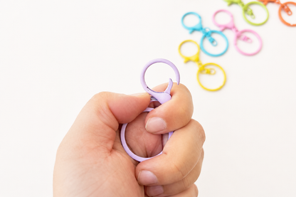 Colorful Keyring With Hook