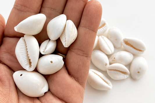 Natural Cowrie Shells