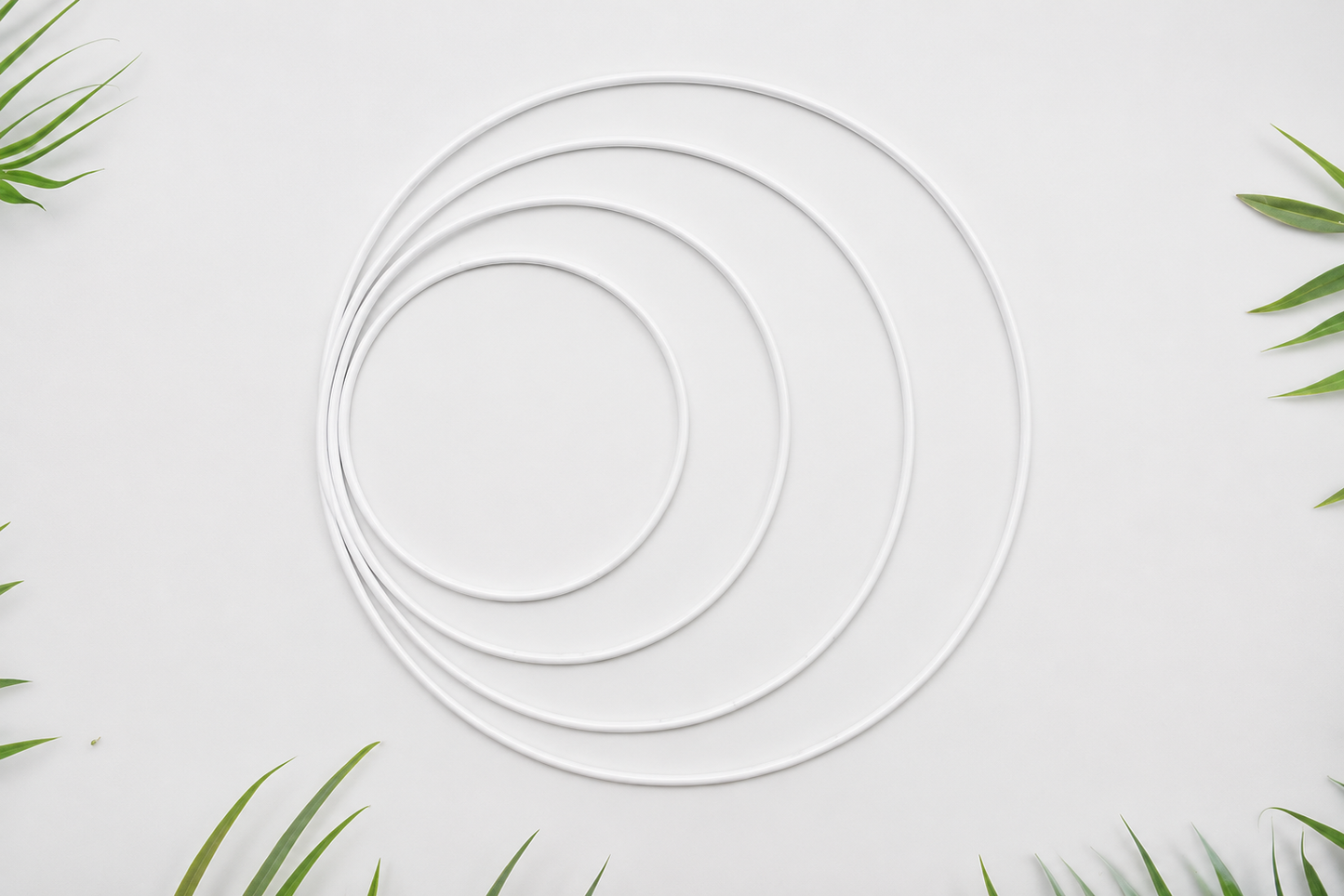 Metal Rings