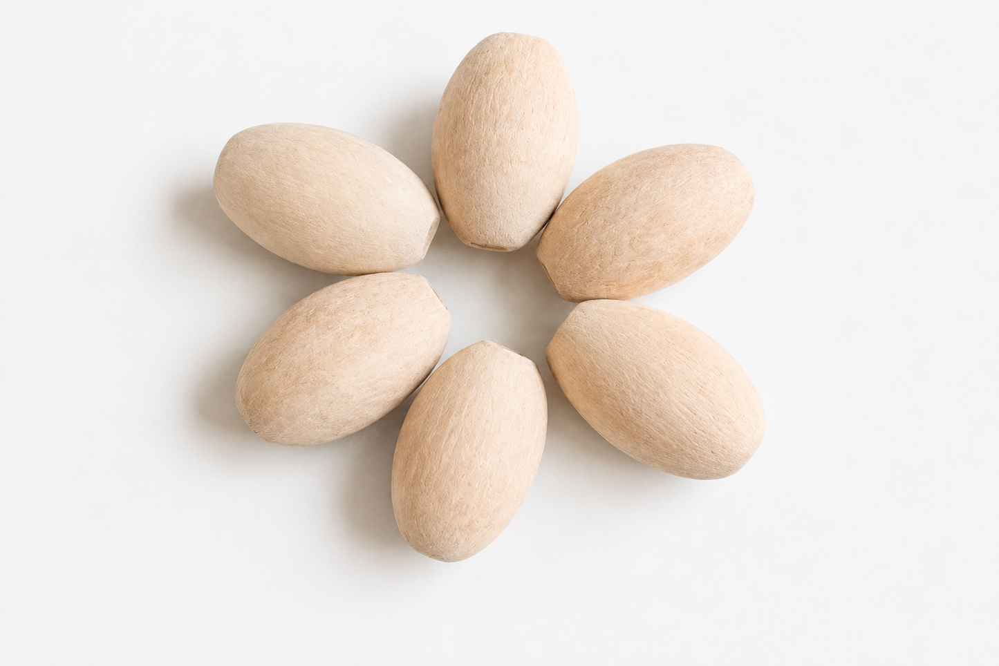 Wood Bead - Oval