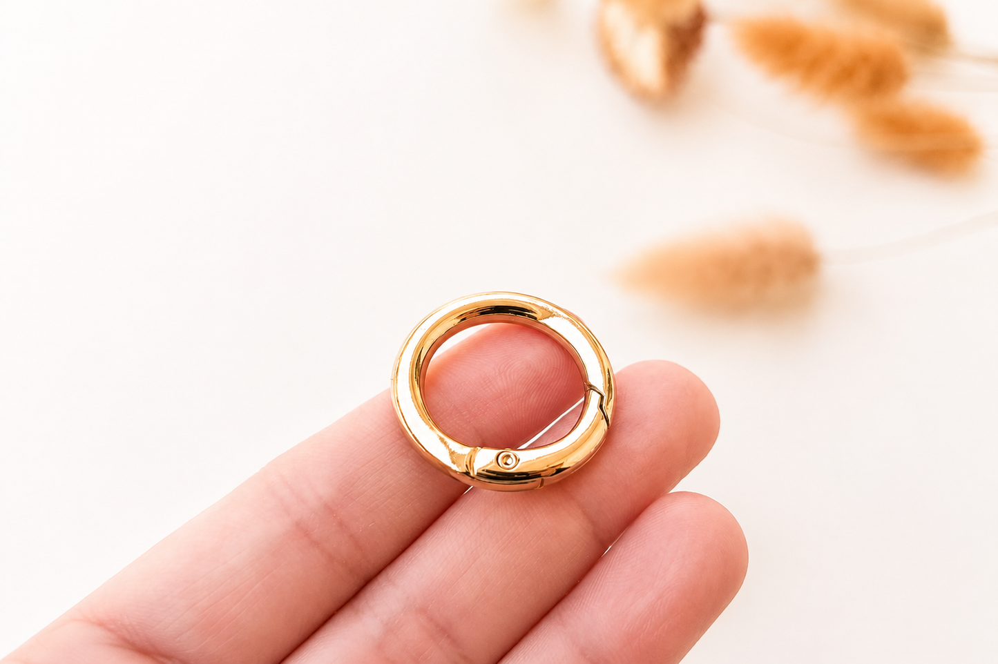 Spring O Rings